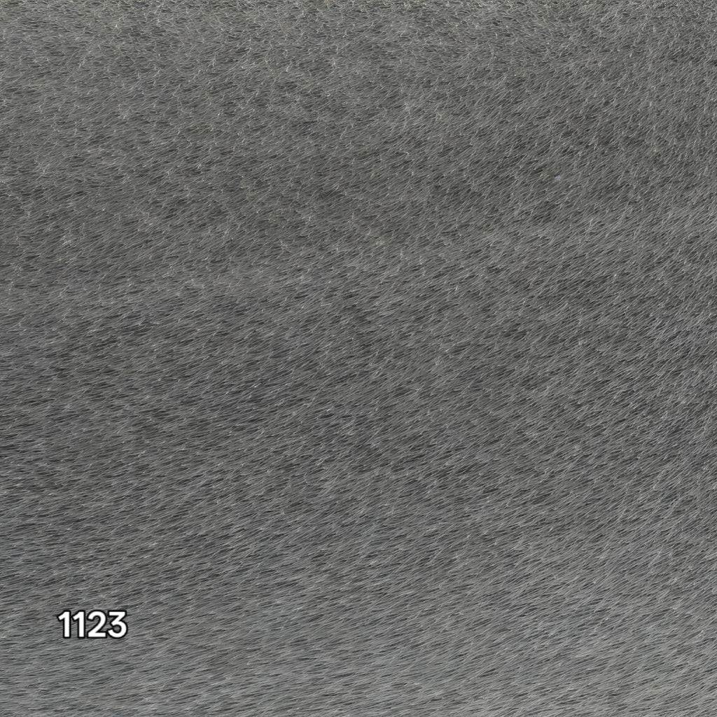 BS1123 - Ferrari Technical Grey