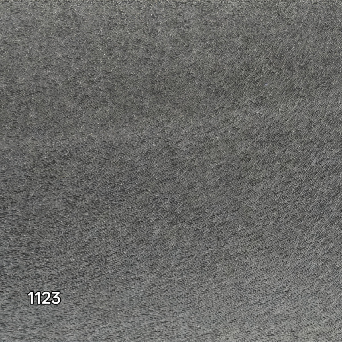 BS1123 - Ferrari Technical Grey