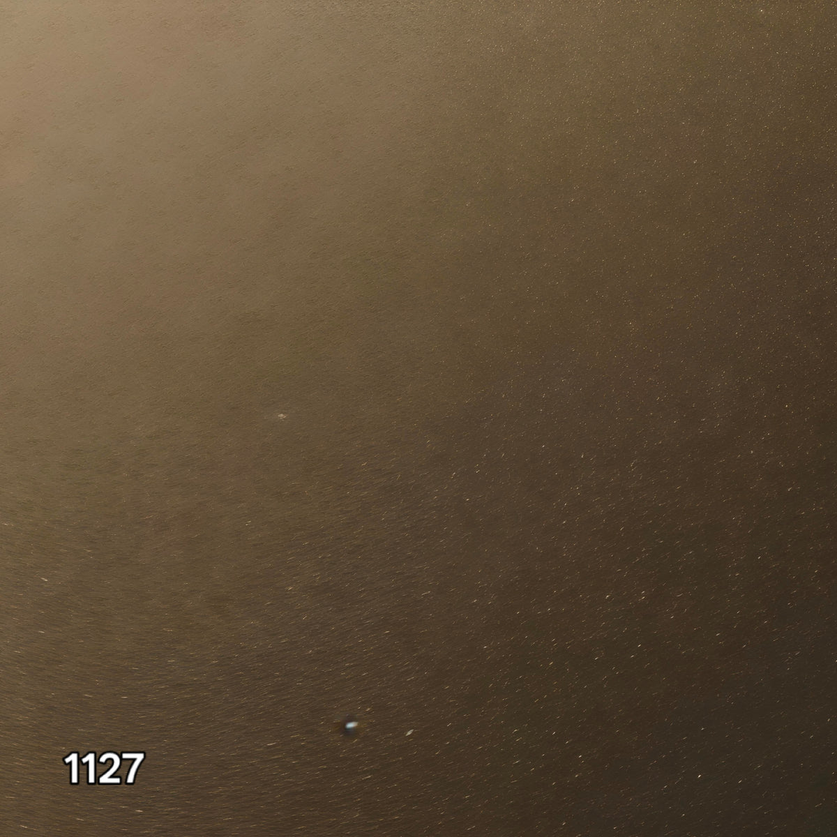 BS1127 - Porsche California/Saturn Gold