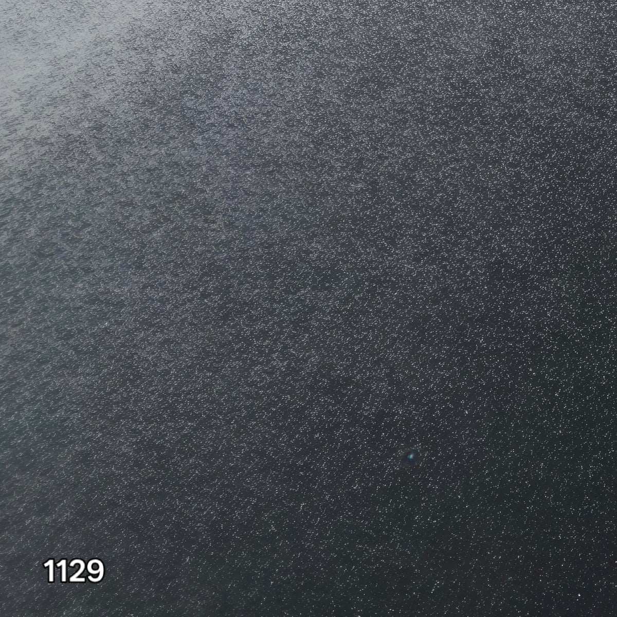 BS1129 - Ford Pearl Grey