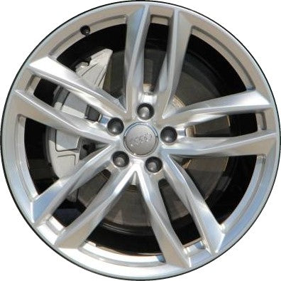 BWA1001 - Dutch Silver