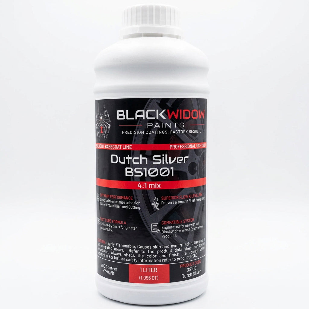 BS1001-DUTCH SILVER