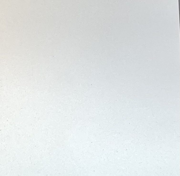 Solid light gray color swatch