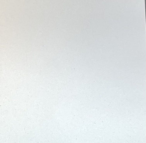 Solid light gray color swatch