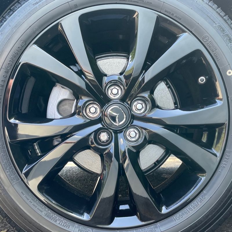 BS1119 - Mazda Black Metallic
